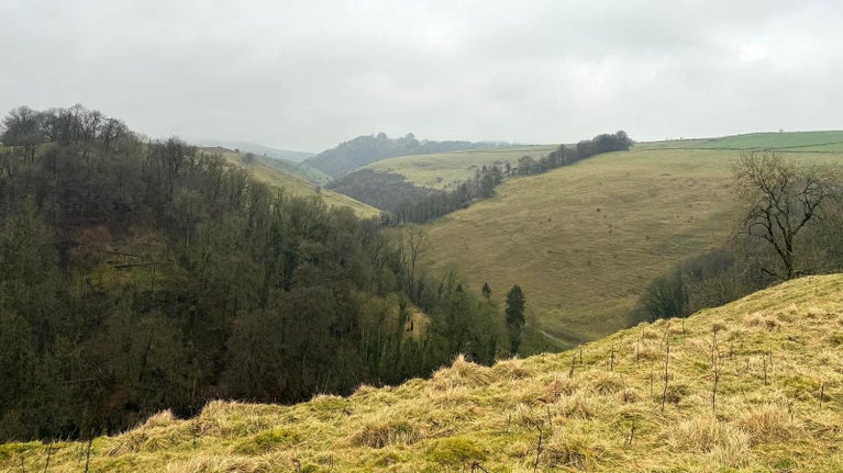 A view over fields and woodland and into a valley.